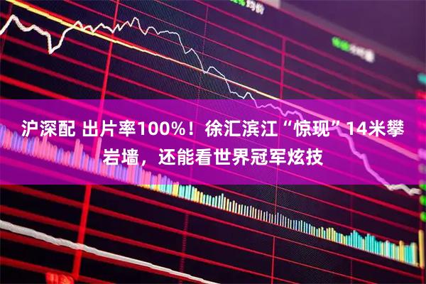 沪深配 出片率100%！徐汇滨江“惊现”14米攀岩墙，还能看世界冠军炫技