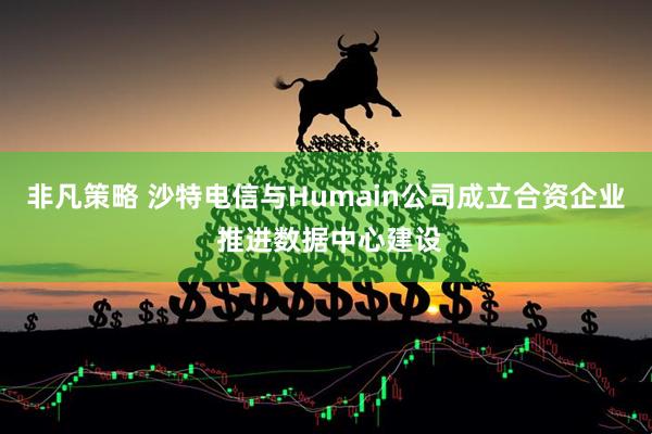 非凡策略 沙特电信与Humain公司成立合资企业 推进数据中心建设