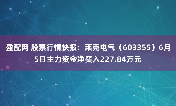盈配网 股票行情快报：莱克电气（603355）6月5日主力资金净买入227.84万元