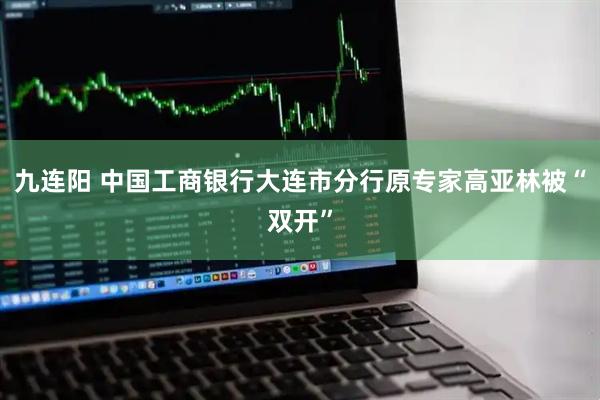 九连阳 中国工商银行大连市分行原专家高亚林被“双开”